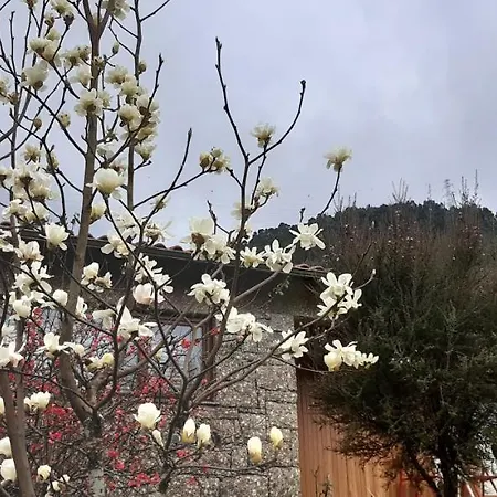 Cottage, Casa Do Laranjal - Near Prázdninový dům