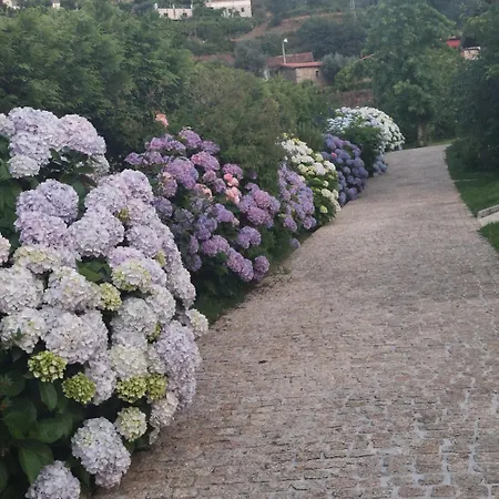 別荘 Cottage, Casa Do Laranjal - Near *