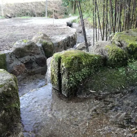 Cottage, Casa Do Laranjal - Near Prázdninový dům