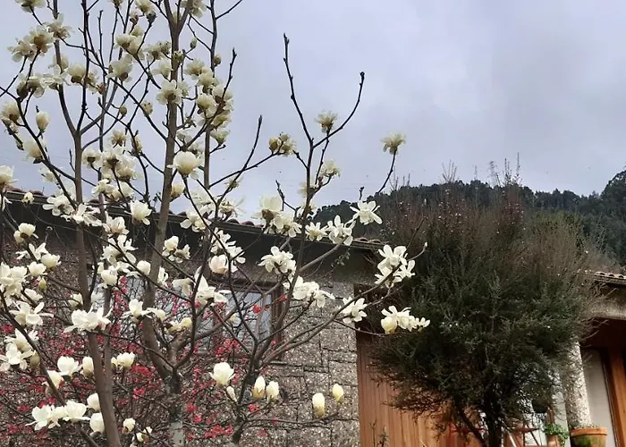 Cottage, Casa Do Laranjal - Near 別荘