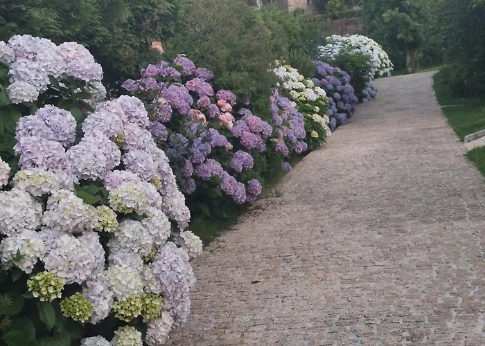 別荘 Cottage, Casa Do Laranjal - Near *