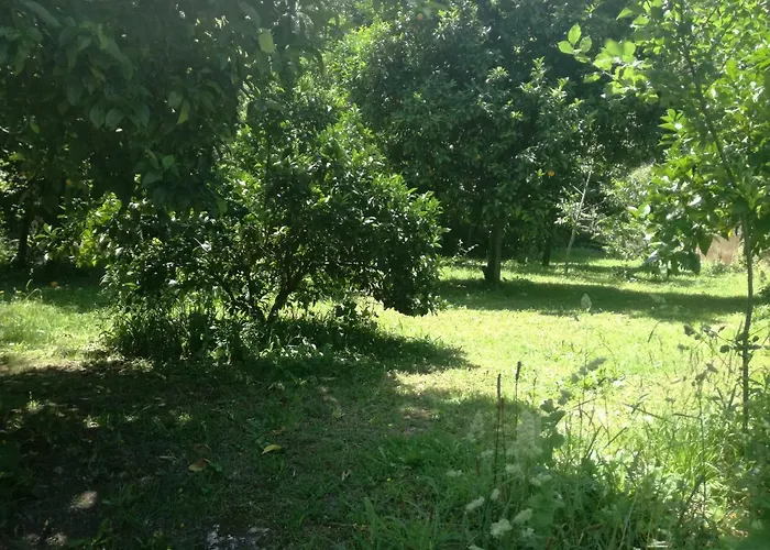 別荘 Cottage, Casa Do Laranjal - Near ジェレス