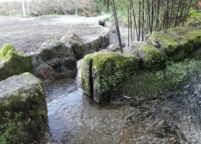 Cottage, Casa Do Laranjal - Near Дом отдыха