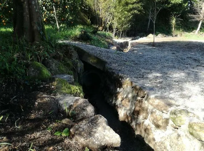 Cottage, Casa Do Laranjal - Near